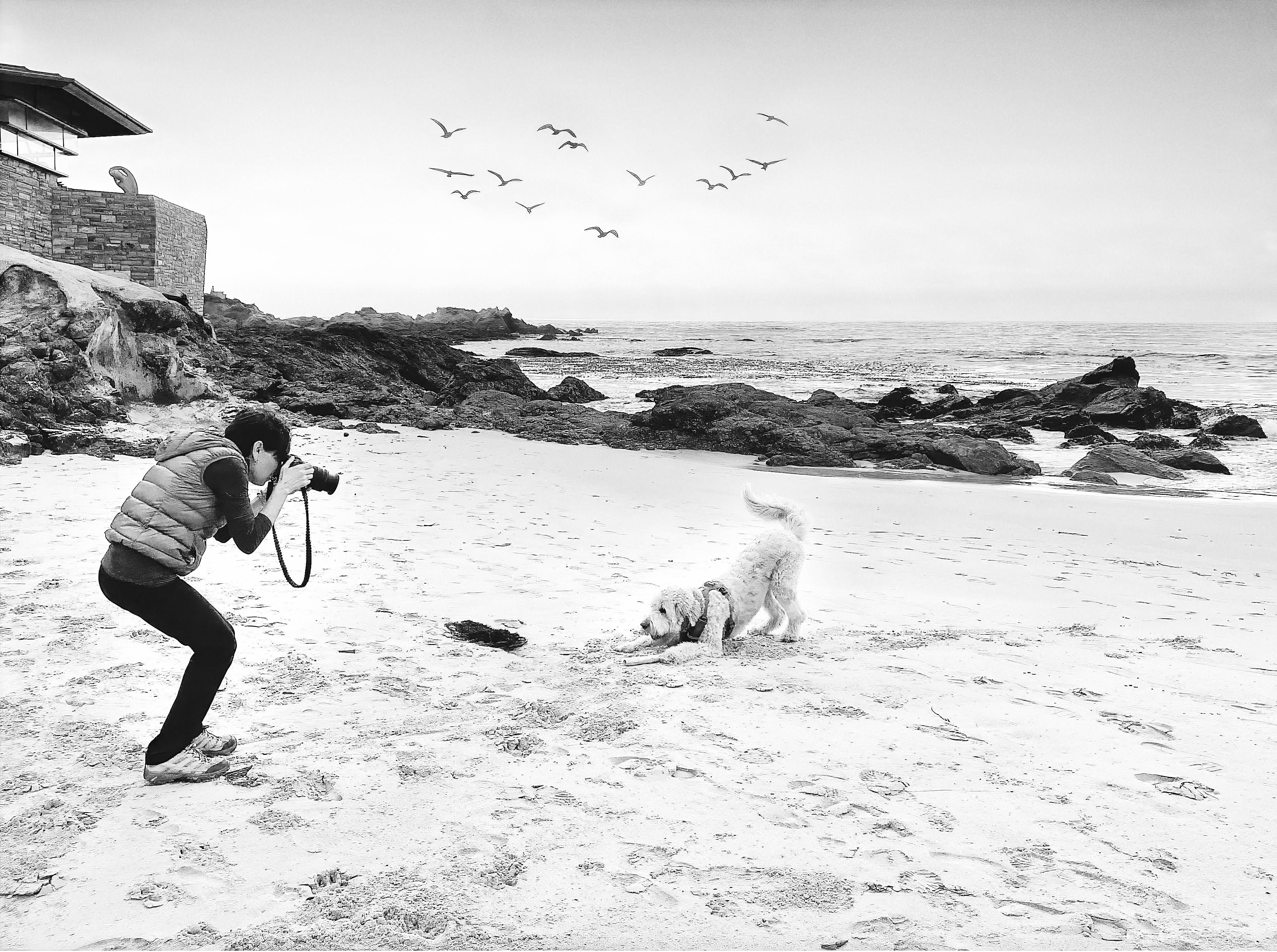 Pet-art-canvas-custom-inspired-by-iconic artists