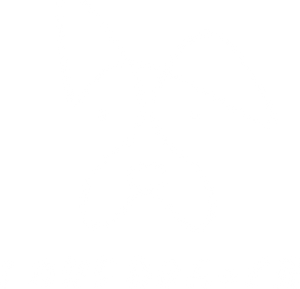 Lovedog + Co Studio